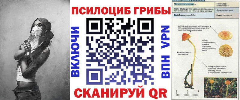 Галлюциногенные грибы Psilocybine cubensis  Чита 